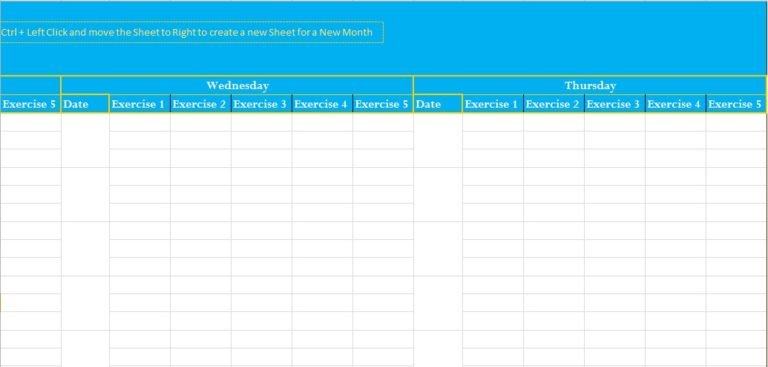 Professional Exercise Log Template Excel
