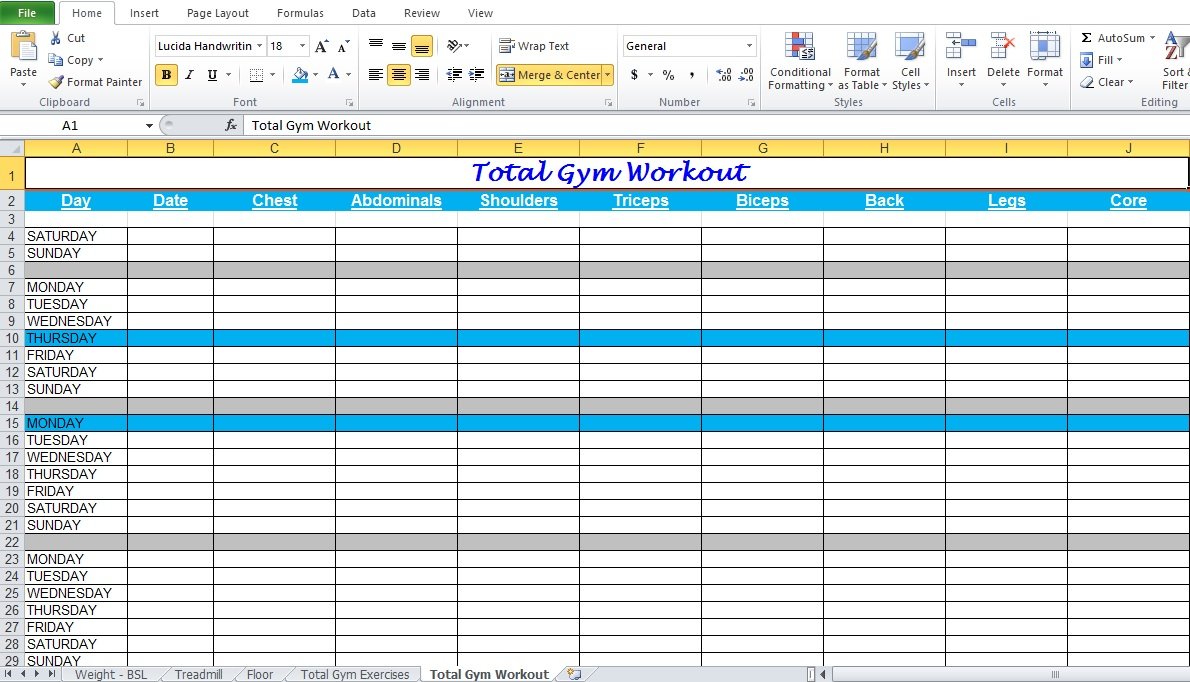 Gym Workout Plan Spreadsheet