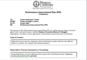 Performance Improvement Plan Sample Template