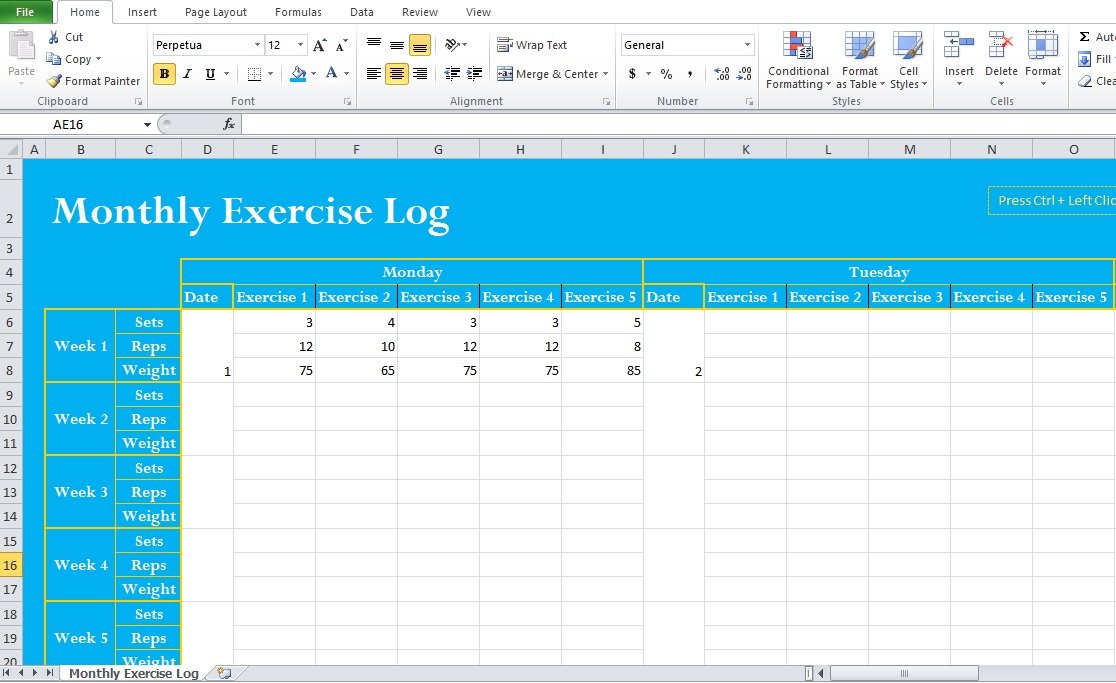 Professional Exercise Log Template Excel Excel Tmp