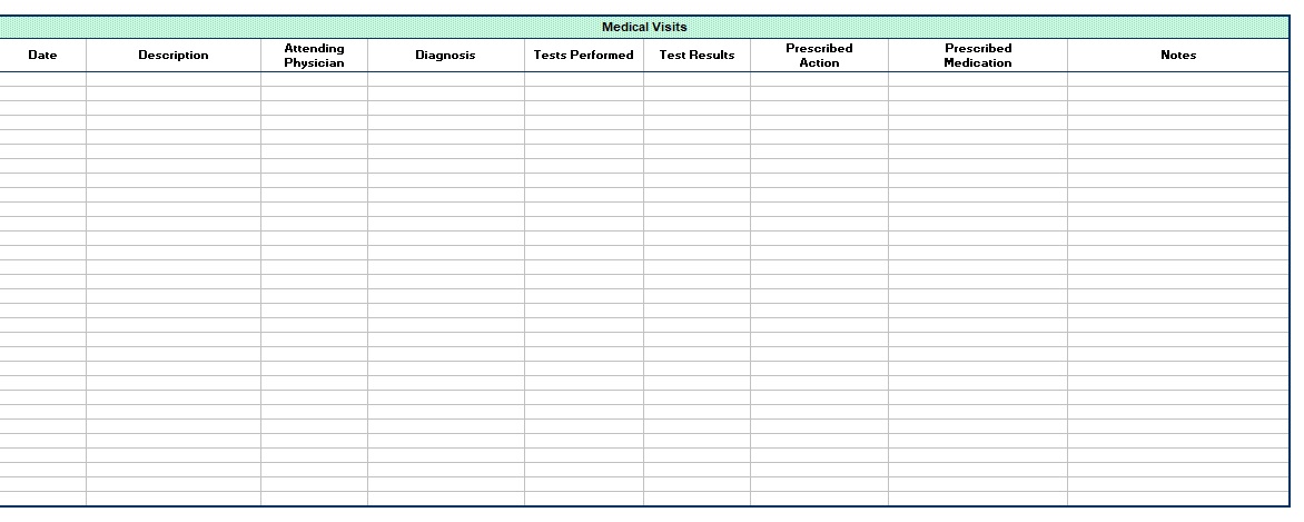 personal health record template excel