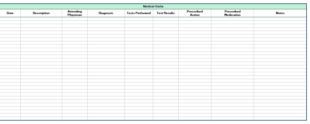 personal health record template excel