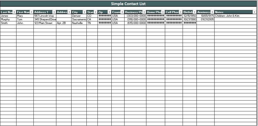 simple and professional business contact list template excel