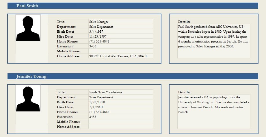 Professional Employee Profile Template Excel And Word Excel TMP