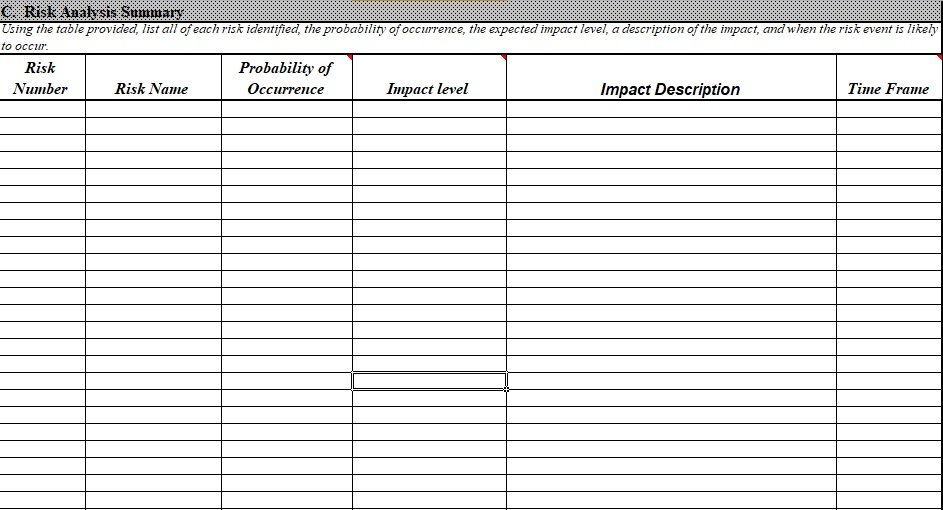 Risk Management Plan Template