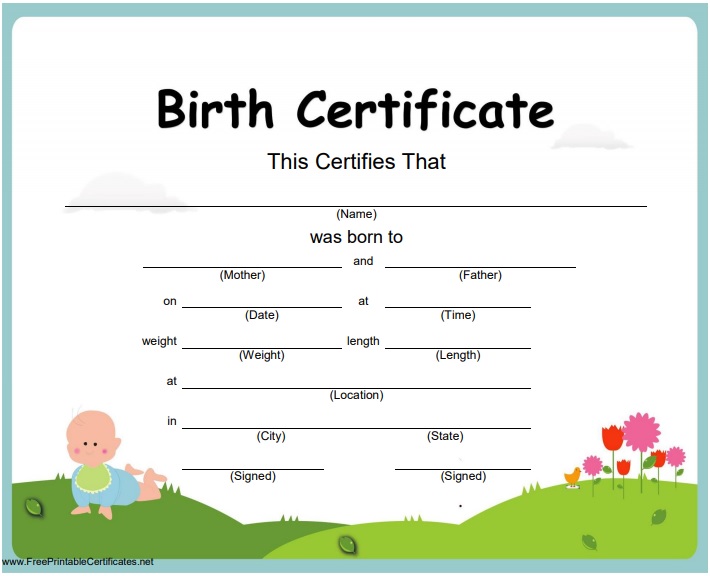 beautiful birth certificate cartoon template