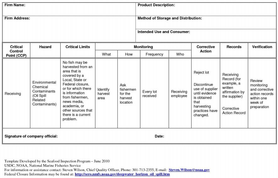 Employee Corrective Action Plan Template Word
