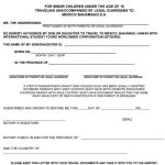 Free Notarized Letter Templates (Word, PDF)