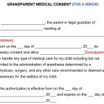 Free Printable Grandparents Medical Consent Form (Word)