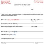 Free Printable Pregnancy Verification Form (MS Word)