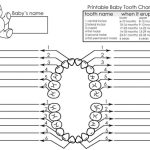 Free Printable Baby Teething Chart Templates (PDF)