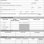 Free Business Loan Application Form: Requirements, Samples & Templates (PDF)