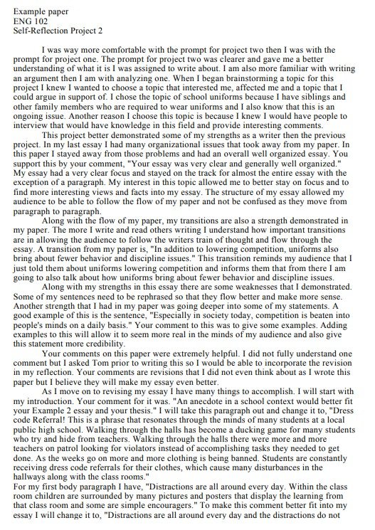 project self reflection essay example