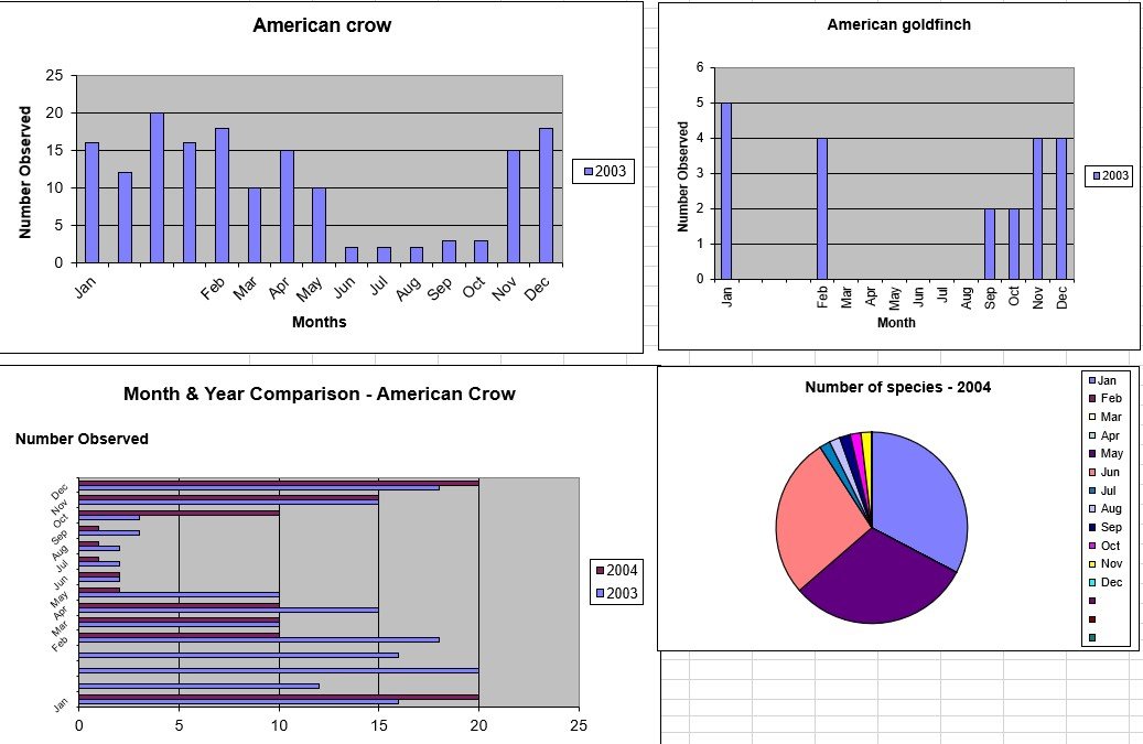 free bar graph template