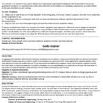 Free College Student Resume Templates (Word / PDF)